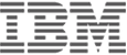ibm 6